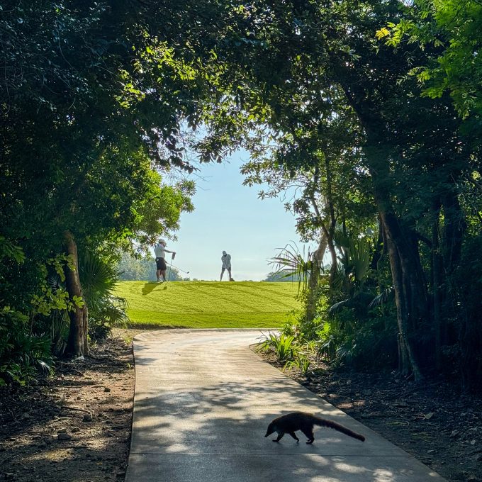 Hole 3 Gran Coyote Golf