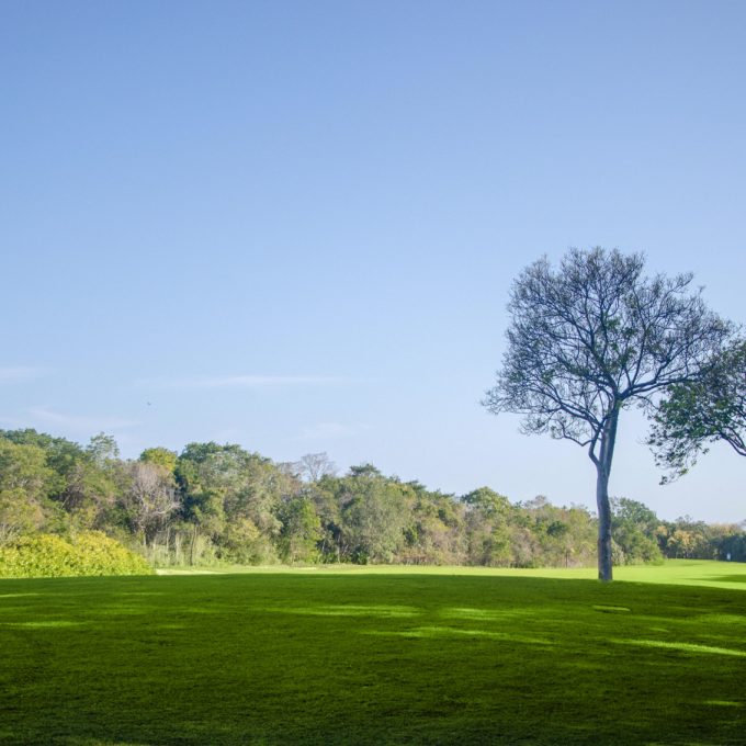 Hole 3 Gran Coyote Golf