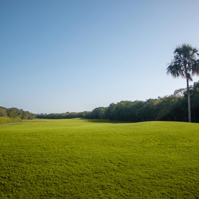 Hole 3 Gran Coyote Golf